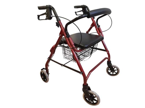 Mobility Walker